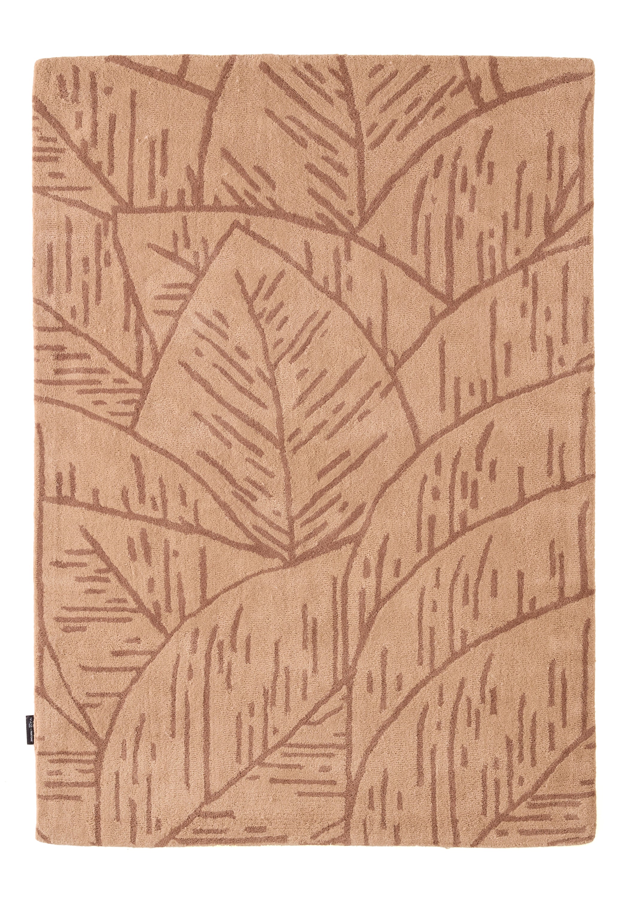 Cèdre blanc – Tapis en laine feuillage - marron Cèdre blanc