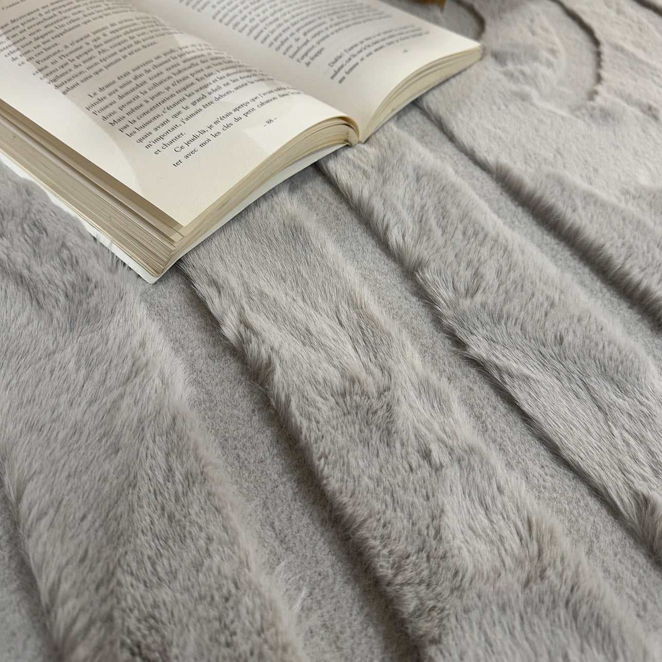 ALASKA - Tapis doux et élégant gris - ALA294GRI