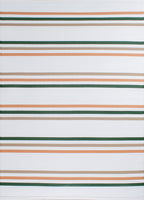 Tapis d'extérieur motifs rayures vert :  CAP1742VER CAPRI