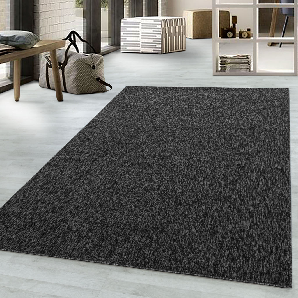 NADOR - Tapis moderne pour salon - NAD1800ANT