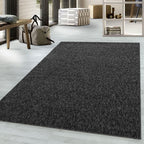 NADOR - Tapis moderne pour salon - NAD1800ANT
