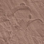 NUBE - Tapis doux taupe - NUB6000TAU NUBE