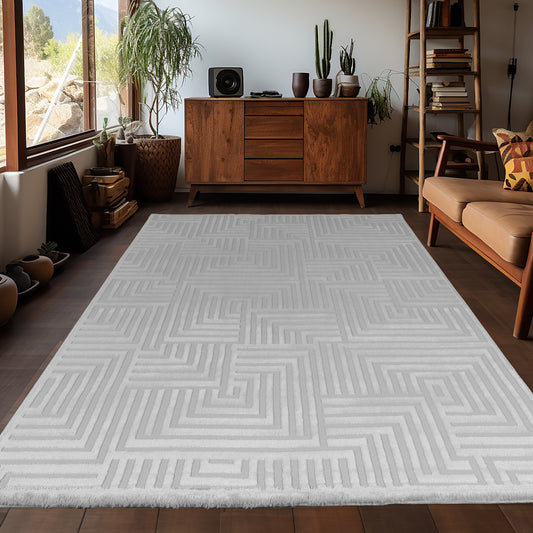 OIA - Tapis moderne à motif géométrique et nuances ton sur ton - OIA1114SIL