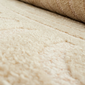 Tapis arc en ciel beige avec poils longs en relief Nazar rugs