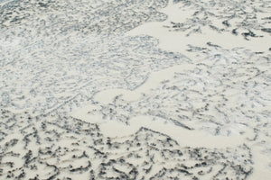 Tapis de salon gris motif orient Nazar rugs